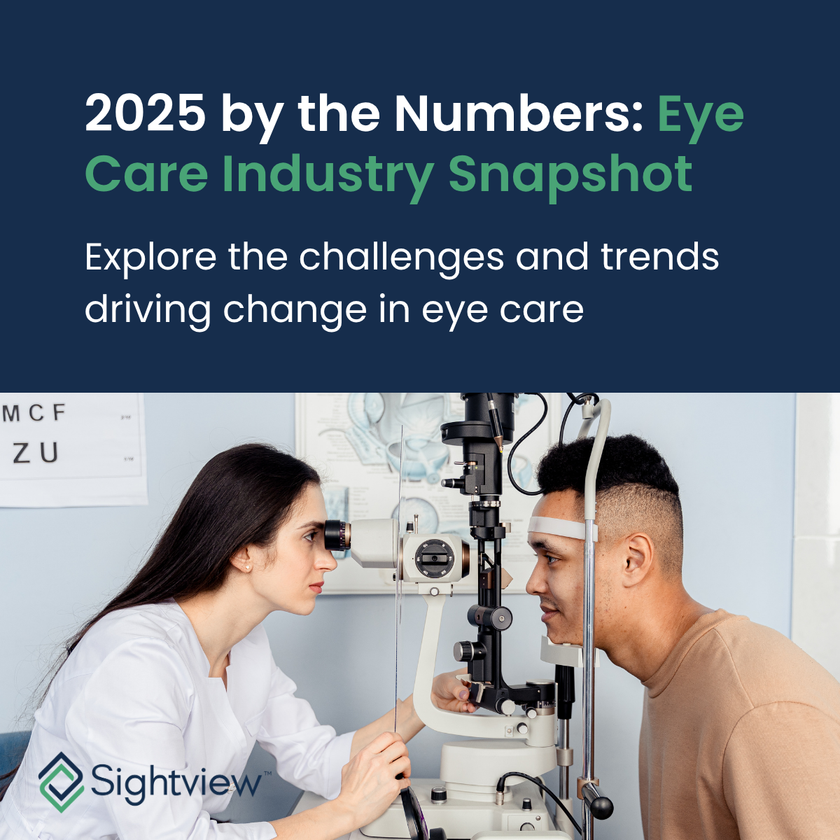 2025 By the Numbers Infographic